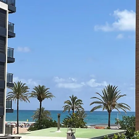 Bacarola Playa de Gandia